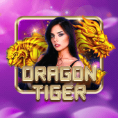 Dragon Tiger table plus casino